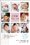 寒中見舞い08-11