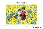 寒中見舞い 01-07