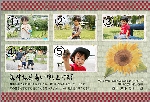 暑中･残暑05-14